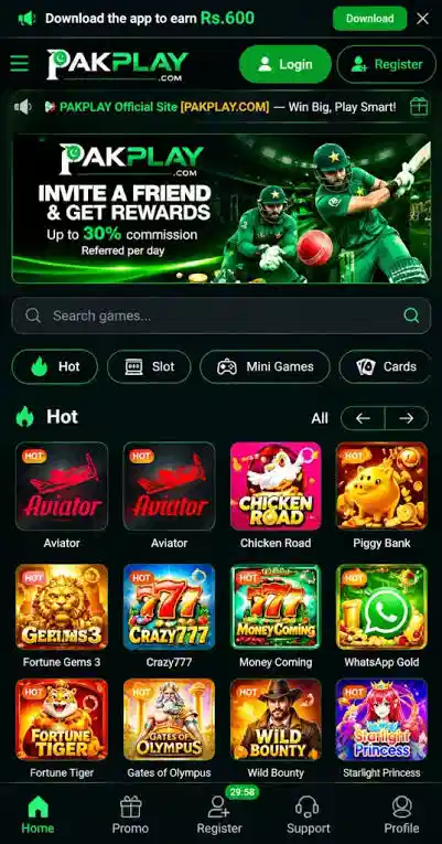 Pakplay Game