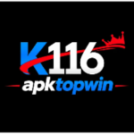 K116 Game